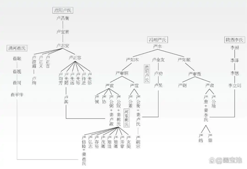 图2 冯翊严氏、河东柳氏、范阳卢氏、清河崔氏、陇西李氏家族谱系与姻亲关系示意图.webp