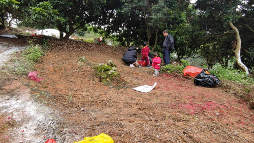 图2 维琛公坟墓.jpg